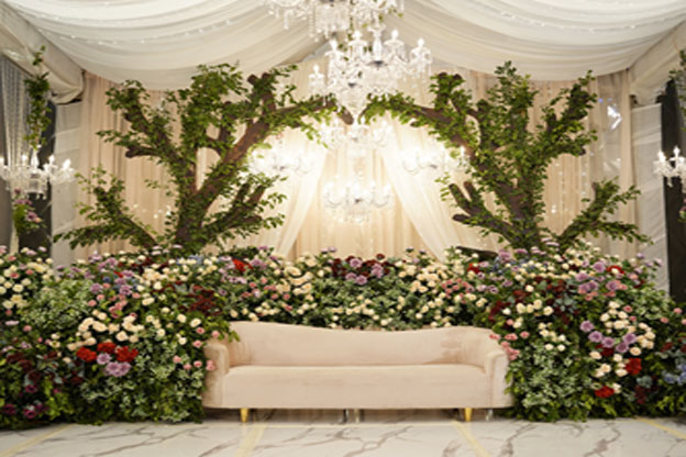 Product launches & brand activations